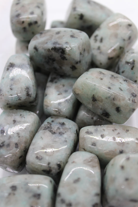 Kiwi Jasper Tumble