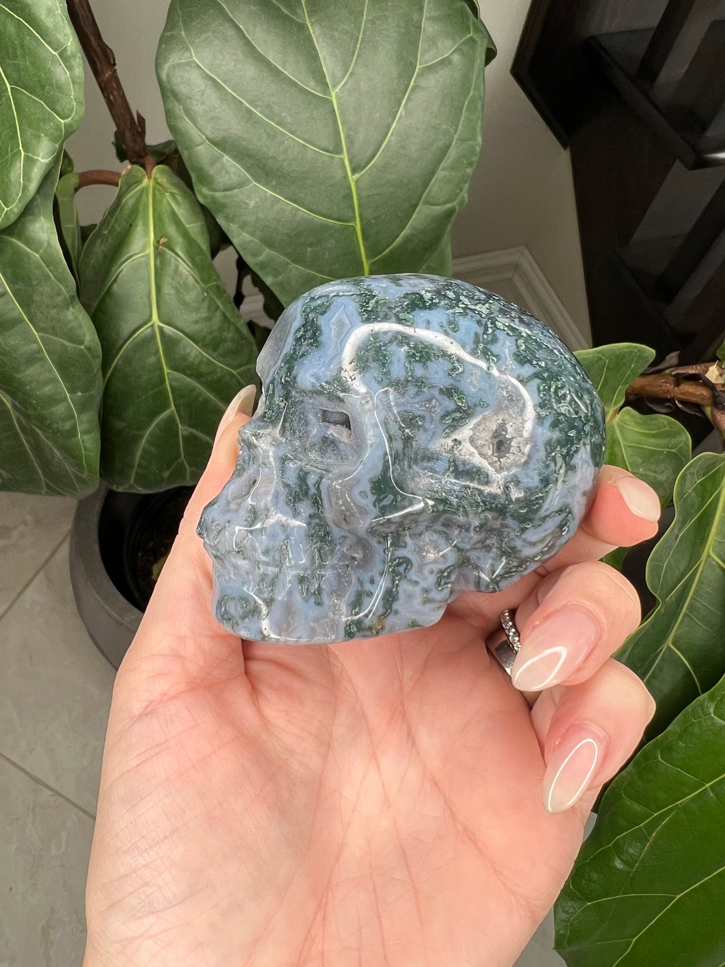 Blue Moss Agate Skull carving