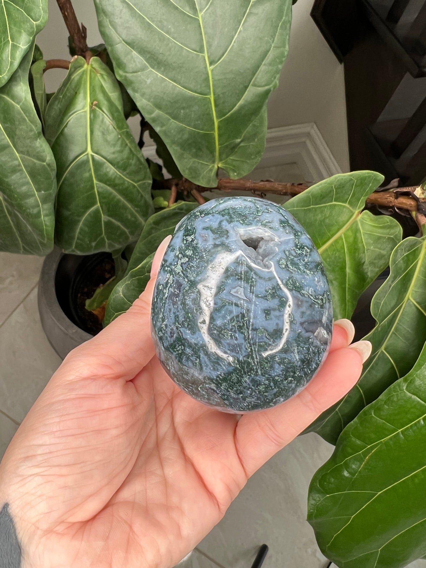 Blue Moss Agate Skull carving