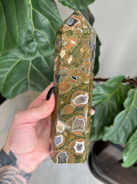 Rainforest Jasper